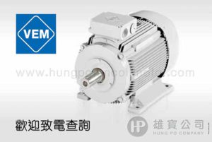 VEM 電機摩打